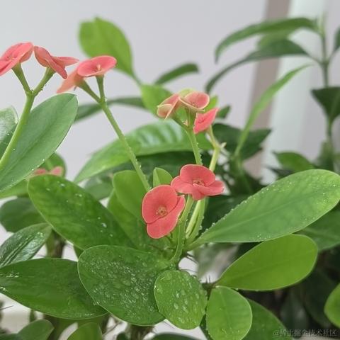 马农可夫于2022-07-22 07:35发布的图片