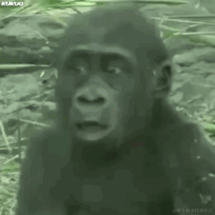 站住前面骑猪的于2023-05-22 11:23发布的图片