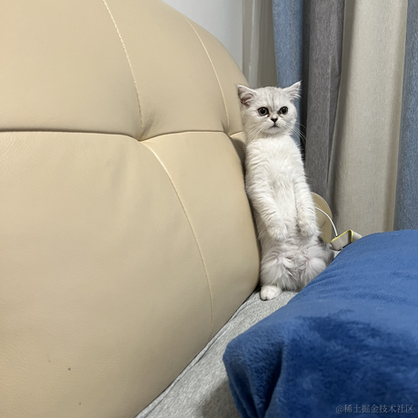 山水域于2023-04-09 09:09发布的图片