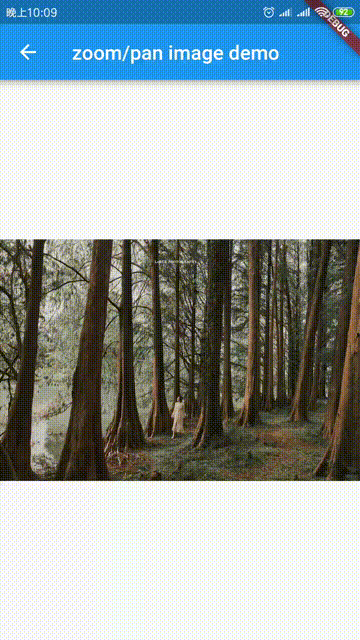 zoom.gif