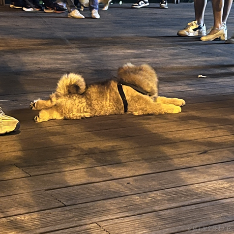 玛卡巴卡139于2023-04-16 23:27发布的图片