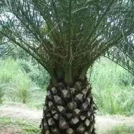 熊大熊大于2021-08-11 11:59发布的图片