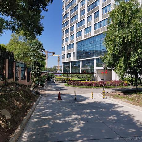 风中的芦苇于2022-02-14 12:00发布的图片