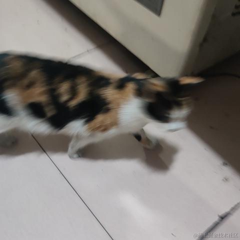 小丑嘲笑于2023-05-10 21:20发布的图片