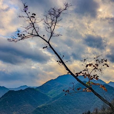 小栗帽永远的神于2022-11-29 07:27发布的图片