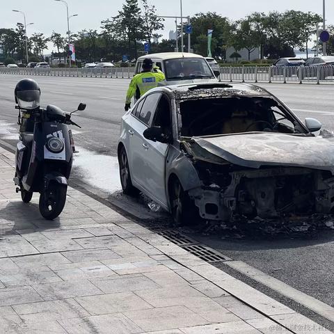 岛城咸鱼于2024-06-21 09:16发布的图片