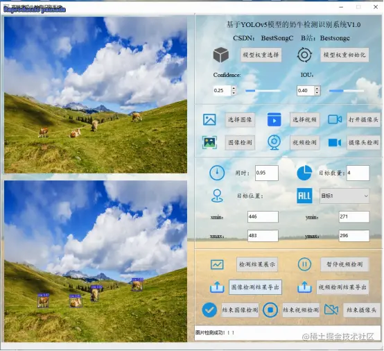 高精度奶牛检测识别系统12283.png