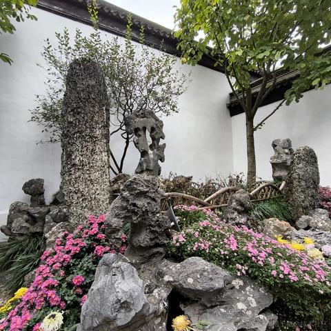 狗熊岭在逃翠花于2023-11-13 09:36发布的图片