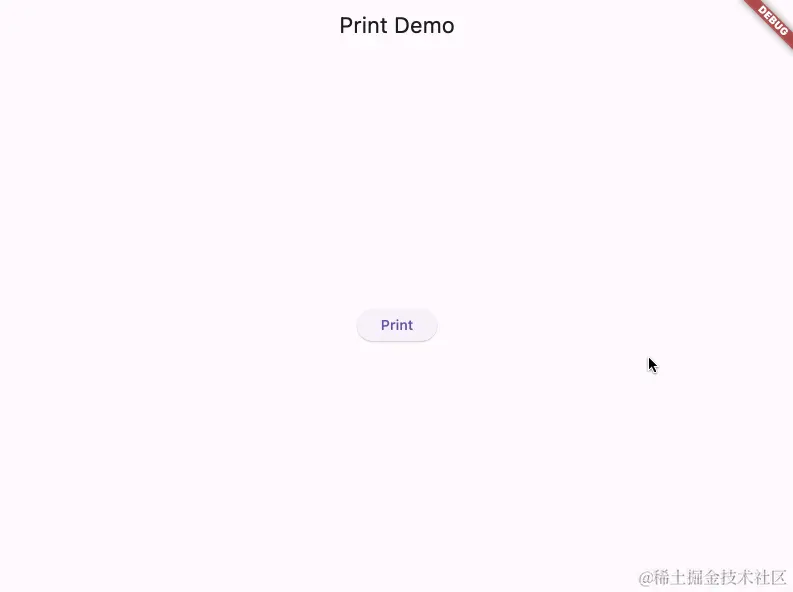 print_demo_custom_widgets.gif