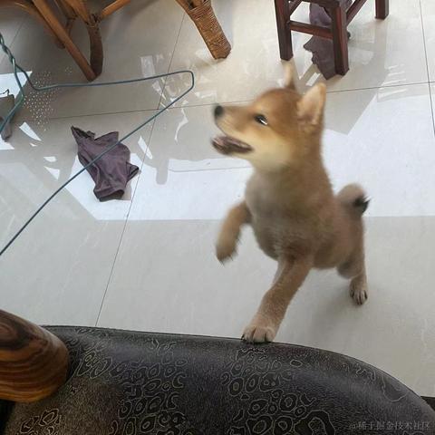 _莲于2021-11-24 22:39发布的图片