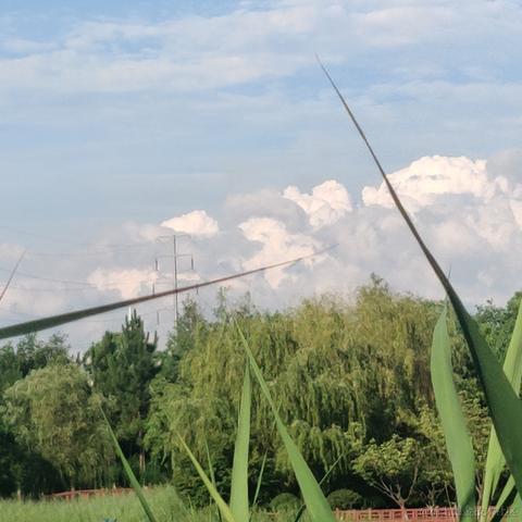 __Petrichor于2024-07-04 17:50发布的图片