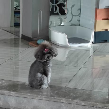 静心晚子于2022-11-23 16:37发布的图片