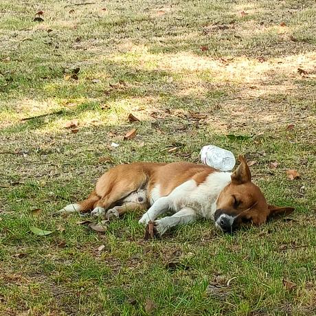 啊哇哇啊哇于2022-12-08 11:21发布的图片
