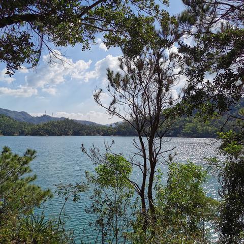 恋猫de小郭于2020-11-22 14:40发布的图片