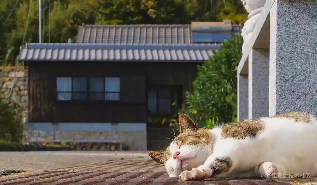 人生