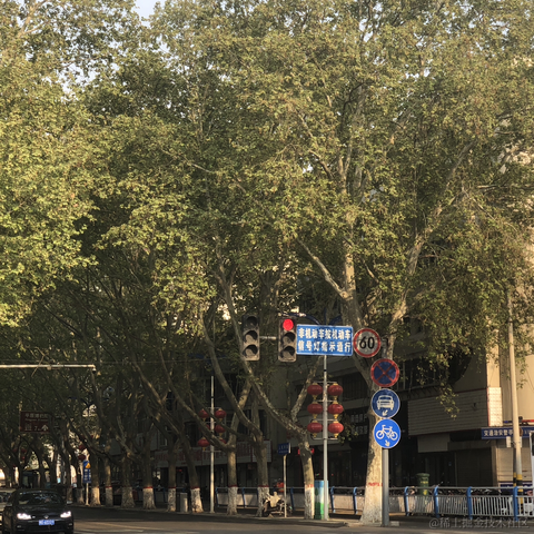 用户5461400929094于2023-04-09 08:03发布的图片