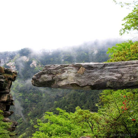 叶一一于2022-11-24 12:51发布的图片