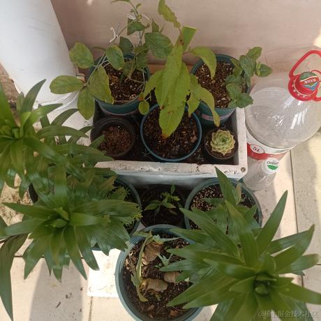 憨八龟于2022-11-26 23:00发布的图片