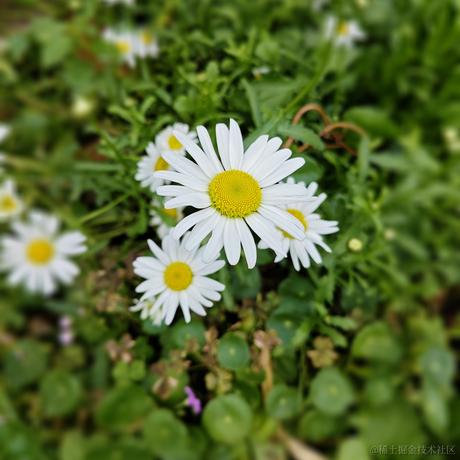 佳佳_于2023-05-18 22:17发布的图片