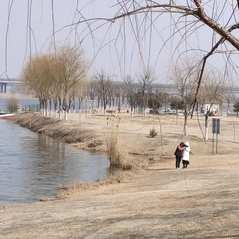 树洞robot于2023-03-16 21:27发布的图片