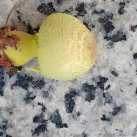 Uwiling于2022-11-28 19:58发布的图片