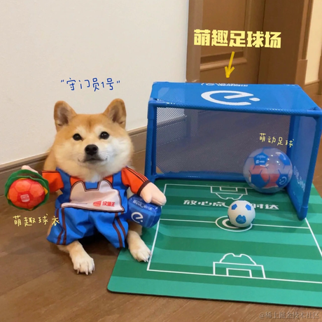 WALK2NY于2022-11-27 09:52发布的图片