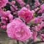牛牛_lz于2022-04-09 15:53发布的图片