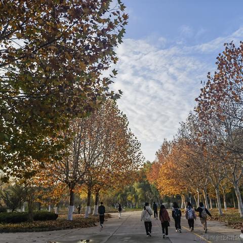 Java的ava是向晚的ava于2022-11-14 07:54发布的图片