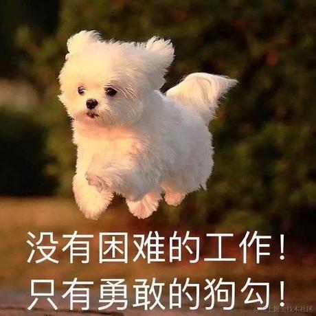 yeykira于2022-11-15 09:15发布的图片