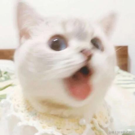 小可莉于2023-11-28 13:49发布的图片