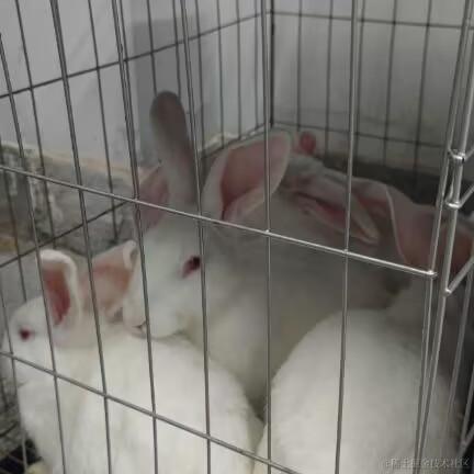 时之瞳于2022-11-18 22:44发布的图片