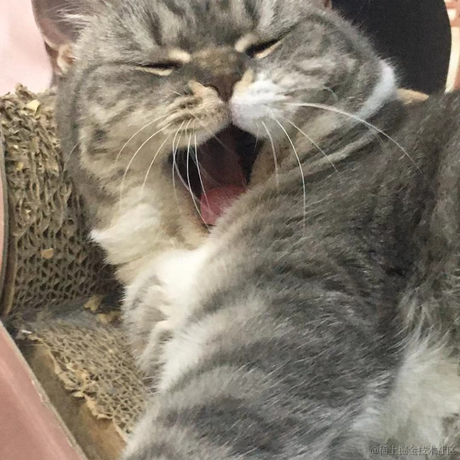 锤子布于2022-05-03 10:12发布的图片