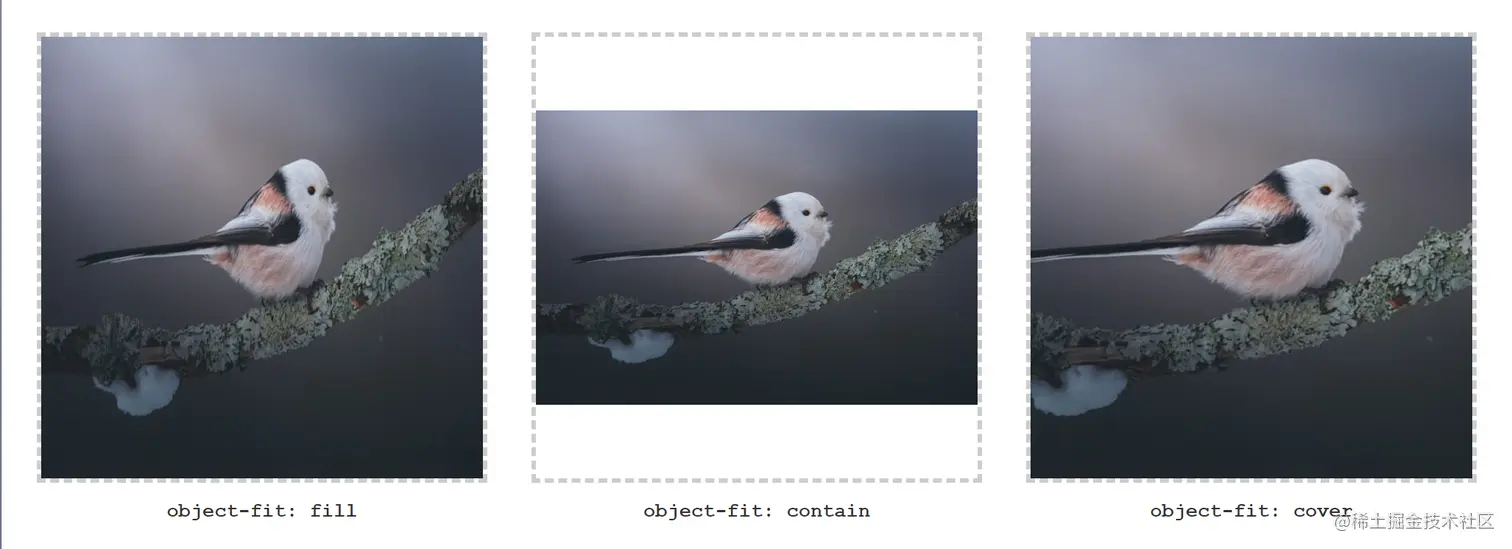 object-fit.png