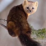 飞飞ing的个人资料头像