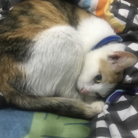 虞妙妙于2023-05-13 00:11发布的图片