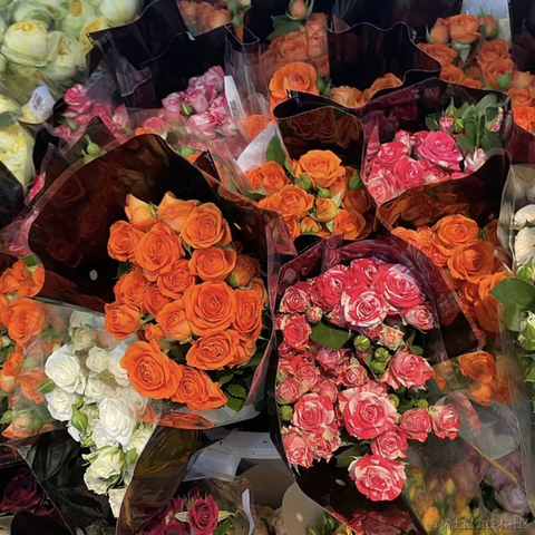 已注销于2021-04-14 18:34发布的图片