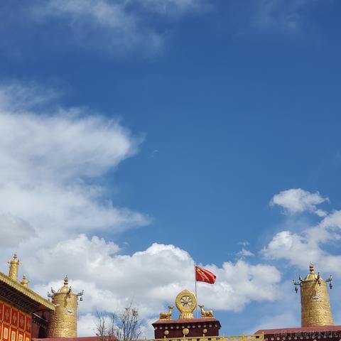 没有哆啦的A梦于2023-03-13 10:06发布的图片