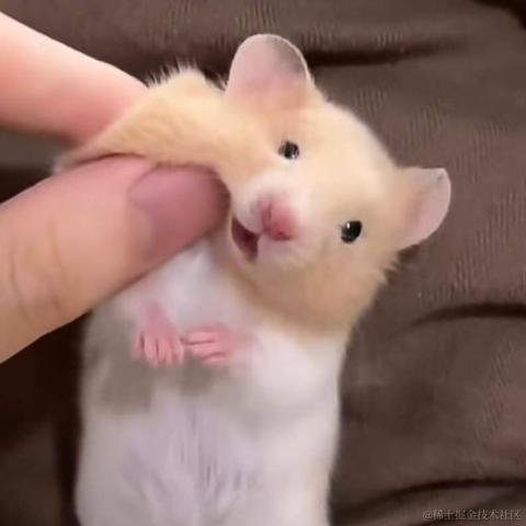 查拉图斯特拉说于2024-07-09 15:51发布的图片