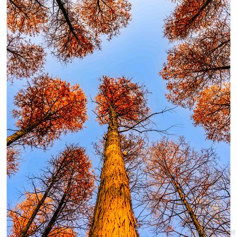 光影童于2024-01-11 11:10发布的图片