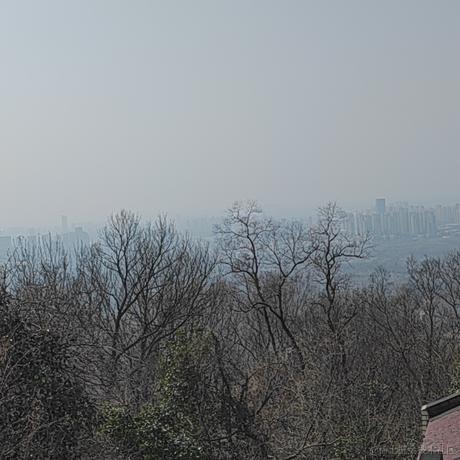 YvLu于2022-04-10 21:28发布的图片