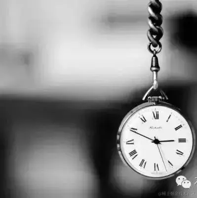 重庆火锅网站设计——代码质量好(5页)_1_Chat GPT云炬学长_来自小红书网页版.jpg