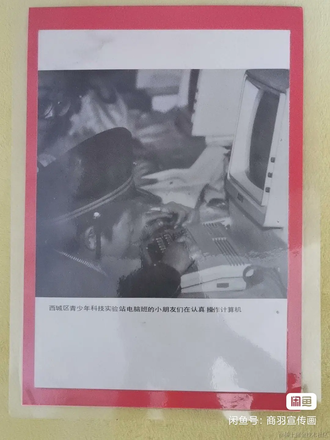 image_editor_1707993221019.jpg
