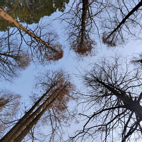 Sarah_于2024-01-09 17:35发布的图片
