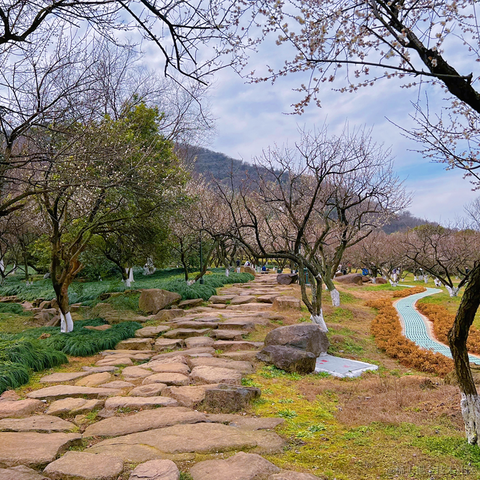 王老狮于2022-02-20 20:17发布的图片