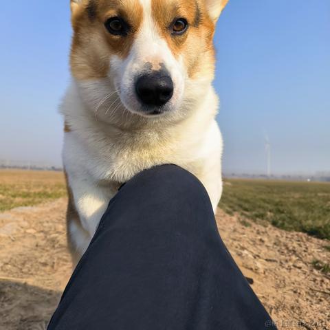 洛克克于2023-05-25 10:34发布的图片