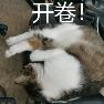尾巴向左于2024-02-07 15:43发布的图片