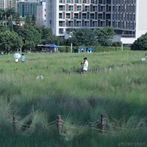 折花赠汝于2023-07-25 11:18发布的图片