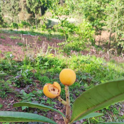 pdudo于2023-04-30 09:21发布的图片