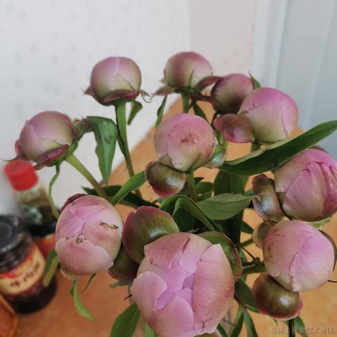 超爱吃芒果于2022-04-07 09:48发布的图片