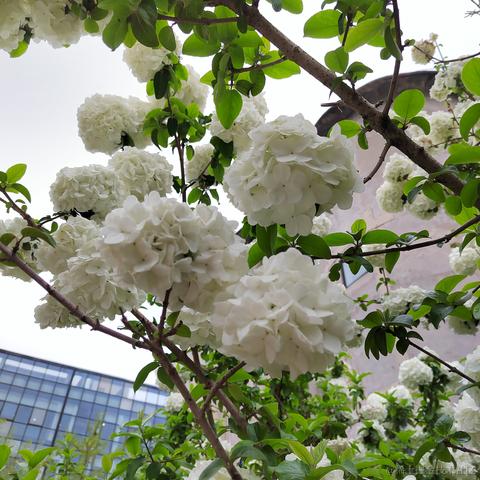 Sarah_于2024-05-28 08:54发布的图片